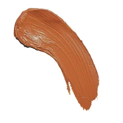 Fast Base Stick Foundation - F13